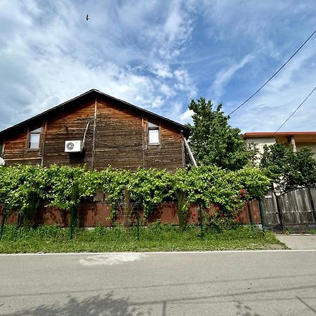 ❆Cozy, 4 Br. Villa In Ananuri❆ Zewnętrze zdjęcie